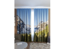 ������ ������.jpg