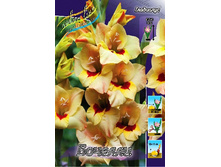 8,53���. ��������� �������(���������� ������ ������ ���������� �� 7 ��.).jpg