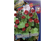 148,4���. �������� ������ �� �����(�������� ���� �� 1 ��., ����������� ����� 1��.).jpg