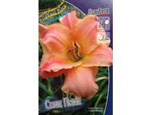 156,3���. �������� ���� ����(�������� ���� �� 1 ��., ����������� ����� 1��.).jpg