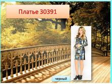 30391 ������