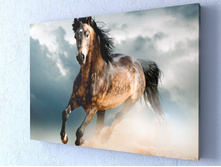 ������ ���� 1-1.jpg