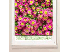 �������� ����� ������� �����.png