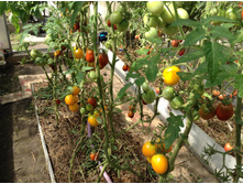 ������������ �� �����