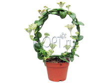 ��������� ���������� 12�45. 536,9 ���.jpg