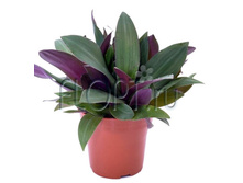 ������������ �������������� 12�30. 158,55 ���.jpg