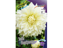 69,9���. �������� ���� ��������(�������� ���� �� 1 ��., ����������� ����� 1��.).jpg