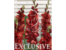 9,11���. ��������� ����(���������� ������ ������ ���������� �� 8 ��.).jpg