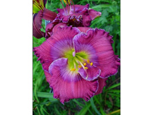 211,6���. �������� �������� ��� �����(�������� ���� �� 1 ��., ����������� ����� 1��.)���17.jpg