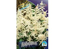 57,95���. �������� ��������(�������� ���� �� 2 ��., ����������� ����� 1��.).jpg