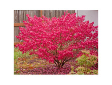 129���. ��������� ����������� ��� ������.jpg