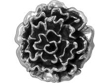 120065, 2020 ���.