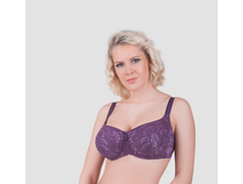 ���� - 563 ���