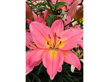 32,36���. ����� �������(��� 5 ��. ���������� �� 2��.).jpg