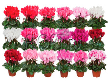 �������� ����� ���� 6�16. 84,09 ���.jpg