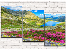 ���������� ����� 3-1.jpg