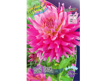 83,5���. �������� ��� ����(�������� ���� �� 1 ��., ����������� ����� 1��.).jpg