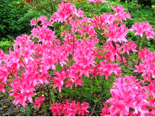 ������ �������� ���� �����-135.jpg