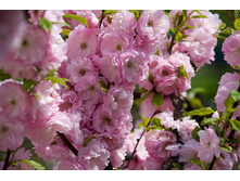 ������� ������������� (���������) ���������-187.jpg