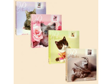 819���. ��� 57803 V ���������� 500 ������ 12836 ������ BIG.jpg