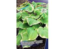 54,45���. ����� �������� �����(�������� ���� �� 2 ��., ����������� ����� 1��.).jpg