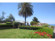 IMG 4372.JPG