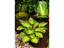 227,4���. ����� �������� ������ �����(�������� ���� �� 1 ��., ����������� ����� 1��.)���16.jpg