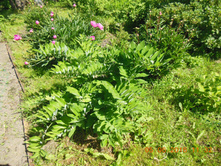 DSCN2114.JPG