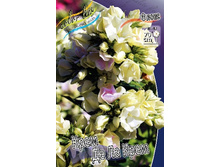 111,35���. ����� ���� �� �� ����(�������� ���� �� 2 ��., ����������� ����� 1��.).jpg