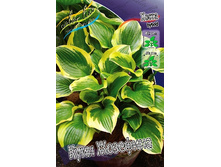 86,05���. ����� ���� ��������(�������� ���� �� 2 ��., ����������� ����� 1��.).jpg