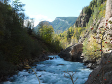 DSC 7302.JPG