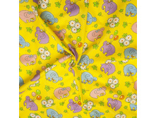 �����  80 ��