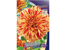 83,5���. �������� ��������(�������� ���� �� 1 ��., ����������� ����� 1��.).jpg