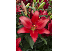 18,9���. ����� �������(��� 7 ��. ���������� �� 2��.)���17.jpg