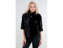 ���� �������� �8