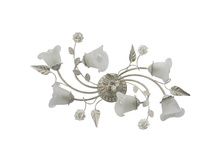 242014806 4500�.jpg