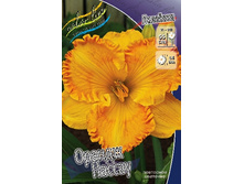 156,3���. �������� ������ ������(�������� ���� �� 1 ��., ����������� ����� 1��.).jpg