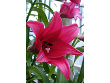 39,12���. ����� ������(��� 5 ��. ���������� �� 2��.).jpg