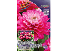 98,2���. �������� ������ ���� �������(�������� ���� �� 1 ��., ����������� ����� 1��.).jpg