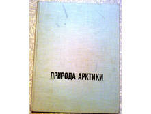 ����� 6 (35).jpg