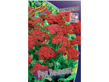 67,1���. ������������� ��� �������(�������� ���� �� 2 ��., ����������� ����� 1��.).jpg