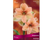 ��������� �������� 315,.jpg