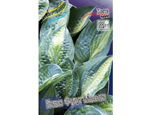 156,3���. ����� ���� ���� �����(�������� ���� �� 1 ��., ����������� ����� 1��.).jpg