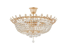 351015609 11000�.jpg