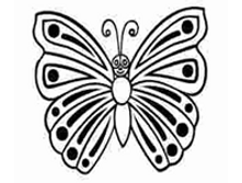 Image894.png