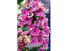 125,55���. ����� NEON �����(�������� ���� �� 2 ��., ����������� ����� 1��.).jpg