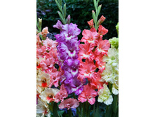 8,45���. ��������� ������� ����(���������� ������ ������ ���������� �� 8 ��.)���17.jpg