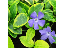 �������� ����� ��� ��� ����-120.jpg