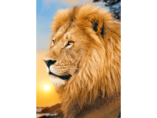 ������ ������ 27-38 Ag 858.png