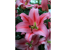 36,58���. ����� �������(��� 5 ��. ���������� �� 2��.).jpg